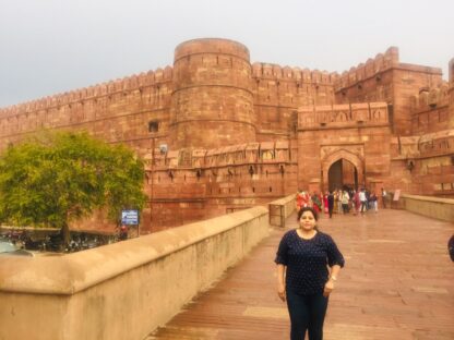 Delhi-Agra-Delhi same day tour in Toyotal Innova Crysta - Image 5